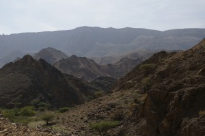 _DSC0086