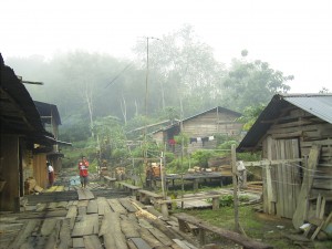 Das Iban Dorf am Morgen, der Regenwald dampft