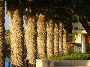 Swakopmund