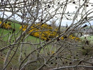 unterwegs in Schottland in den Highlands