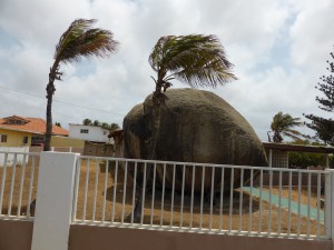 Vorgarten in Aruba