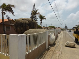 Vorgarten in Aruba