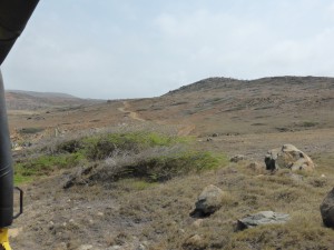 Inselinneres von Aruba