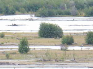 unterwegs zwischen Fairbanks und Tok