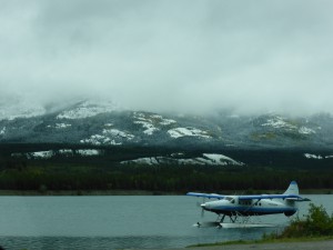 Whitehorse