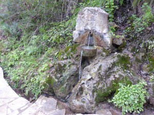 das Wasser der ewigen Jugend... (oder so)