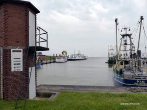 Hafen von Tammensiel auf Pellworm