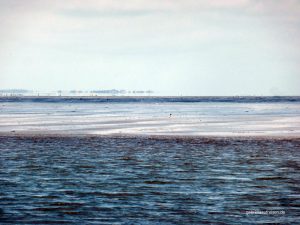 Halligen im Nordsee Watt
