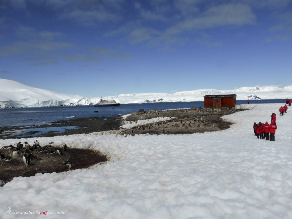 Antarktis, Blick von Mikkelsen Harbour