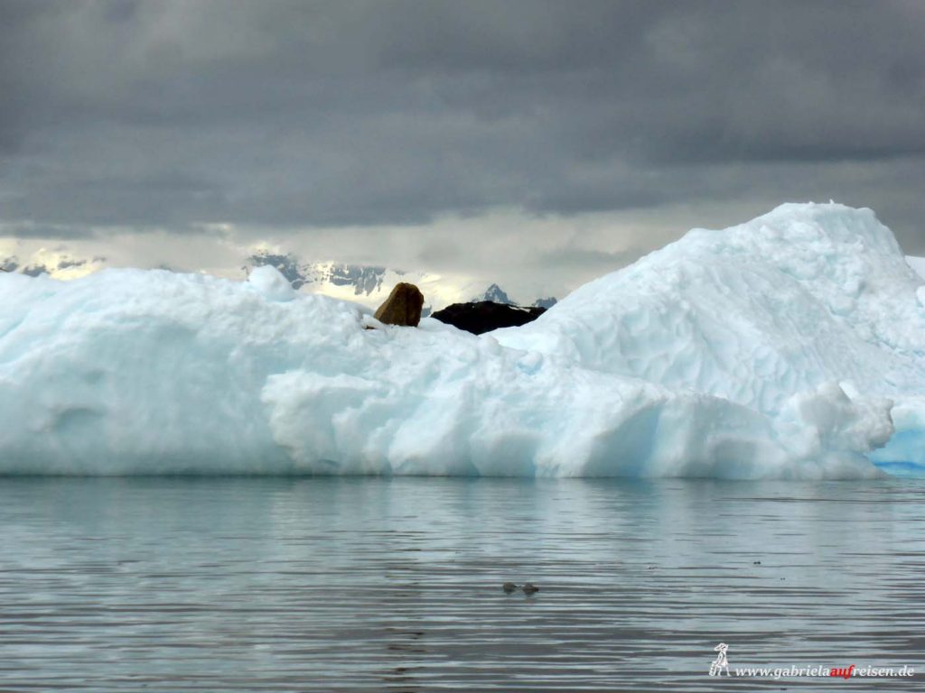 Antarktis, Eisberg mit Geröll
