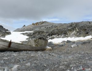 Antarktis, Halfmoon Bay, Walfängerboot