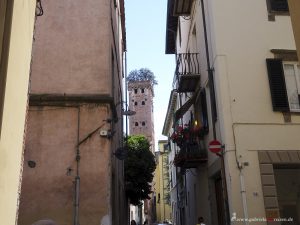 Lucca mit Turm