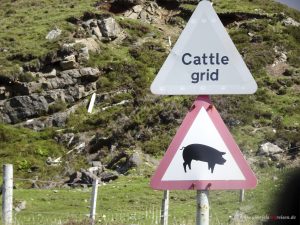 Cattle grid