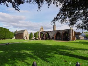 Kirchenruine in Fortrose