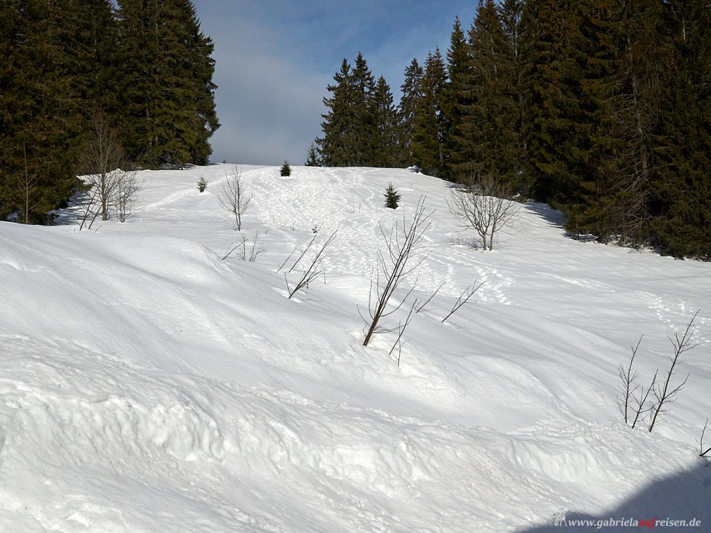 Schwarzwald im Winter