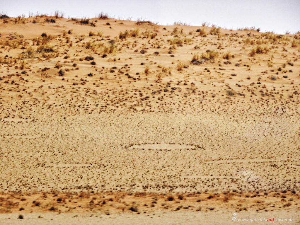 die abgestorbenen Bäume in der Salzpfanne Dead Vlei in der Sossusvlei Wüste in Namibia