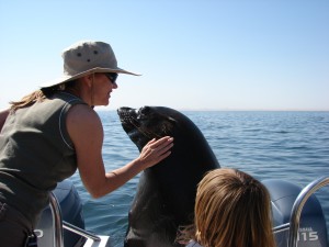 wet kisses in Walvis Bay