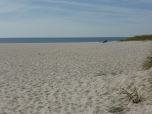 Seagull Beach, West Yarmouth, Cape Cod