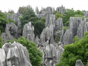 Steinwald / Stone Forest