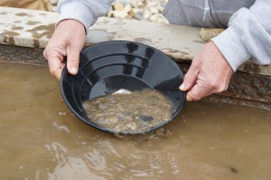 gold panning in Chicken