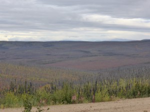 View from Taylor Highway