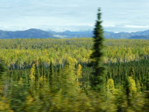 Klondike Highway