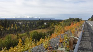 Wrangell - St. Elias National Park