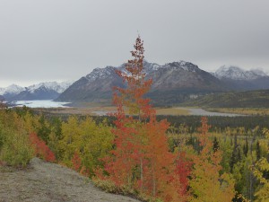 Matanuska Glacier