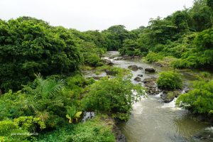 somewhere in Mauritius