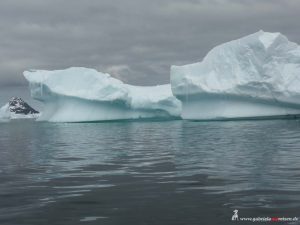 Antarctica, Cierva Cove, huge icebergs