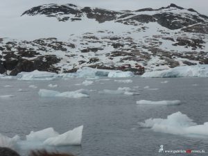 Antarctica, Cierva Cove, Primavera Station