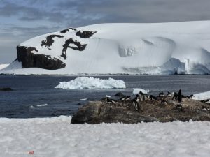 Antarctica, Mikkelsen Harbour