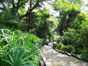 Park in Hong Kong