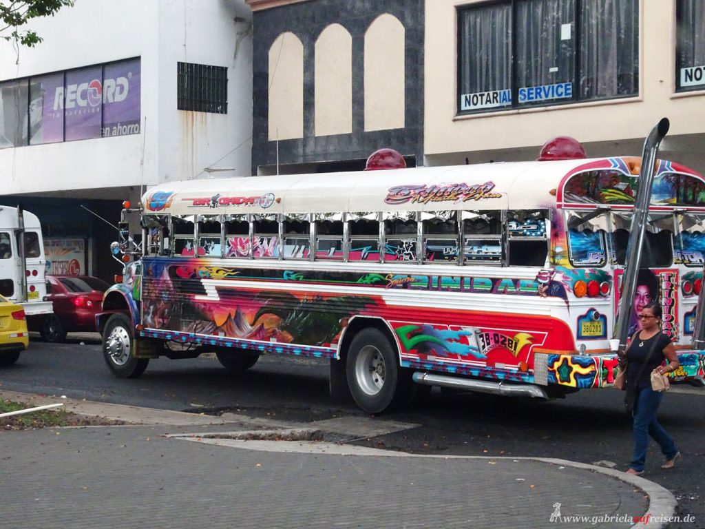 bus art