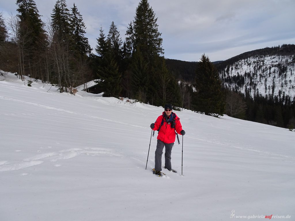 snowshoeing