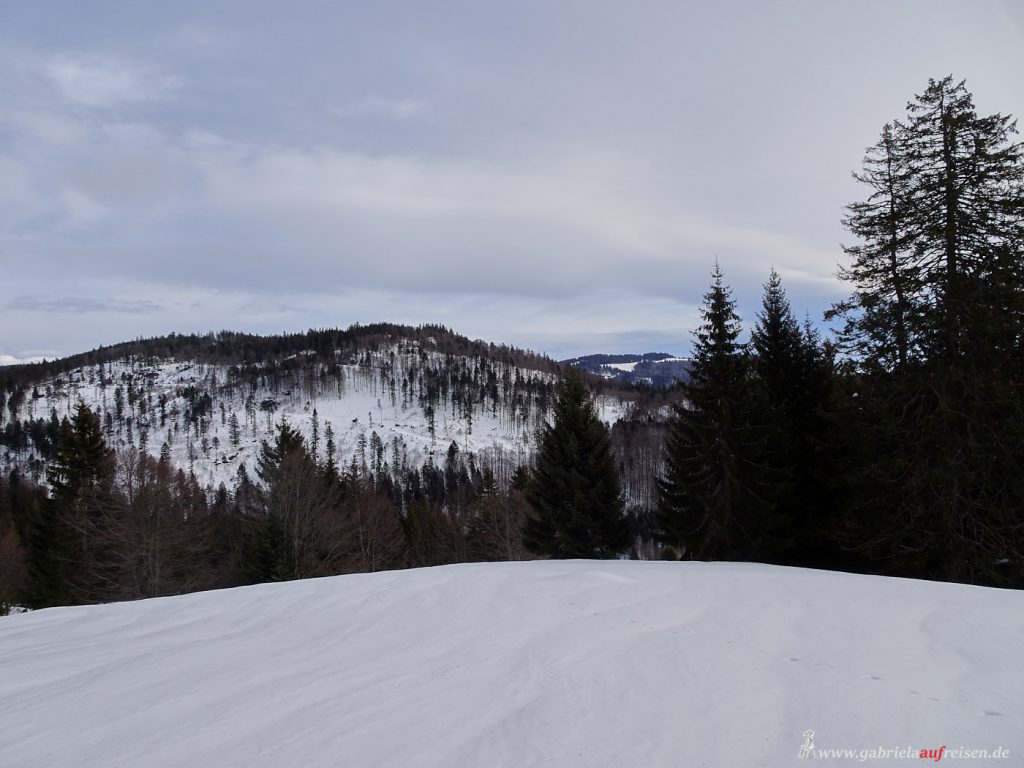 Black Forest in winter