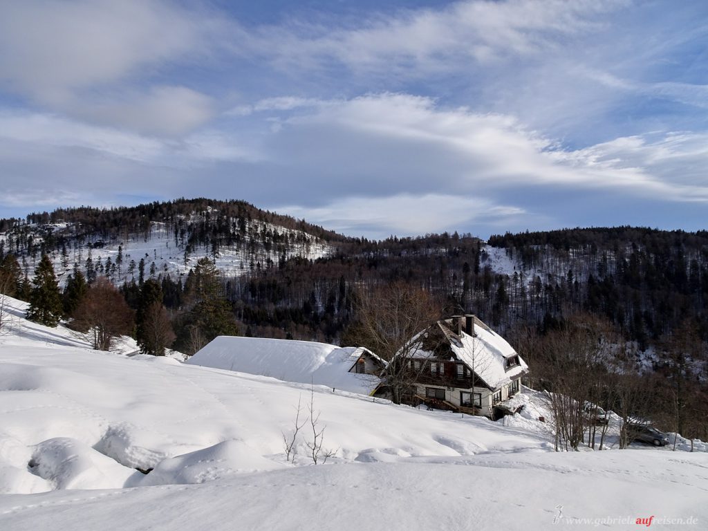 Black Forest in winter