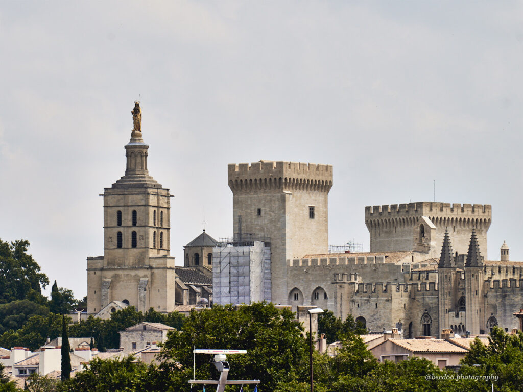 Blick-auf-Avignon