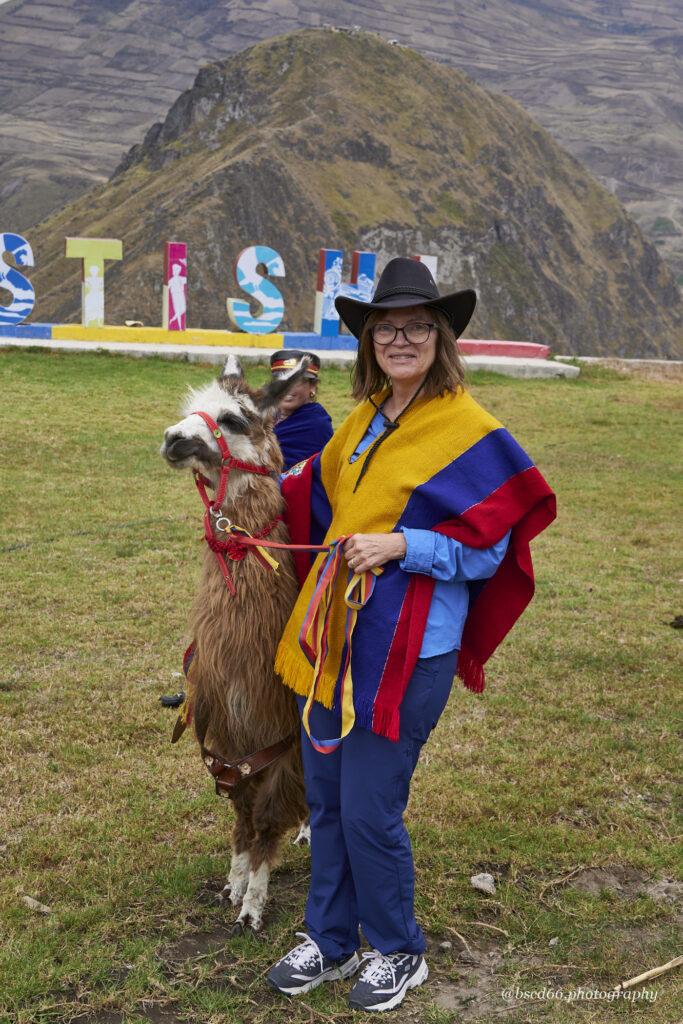 Lama-in-Ecuador