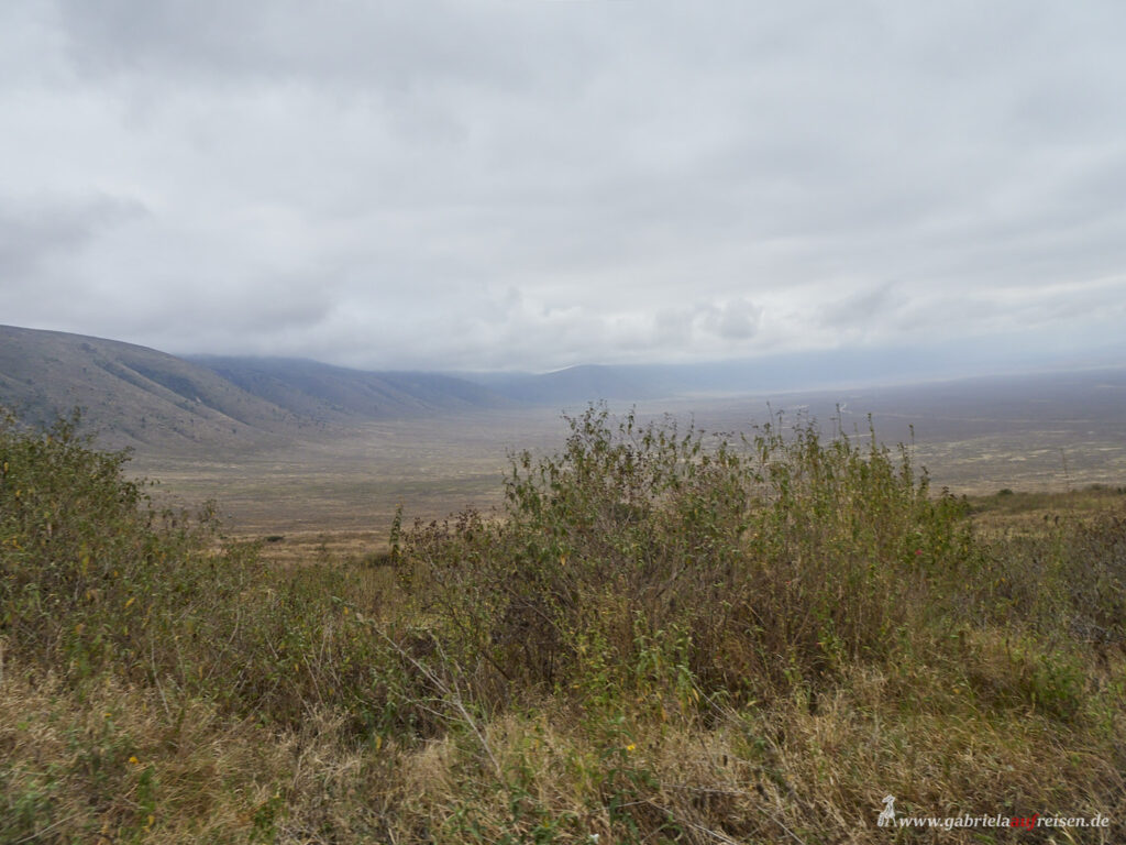 Blick-in-den-Ngorongoro-Krater