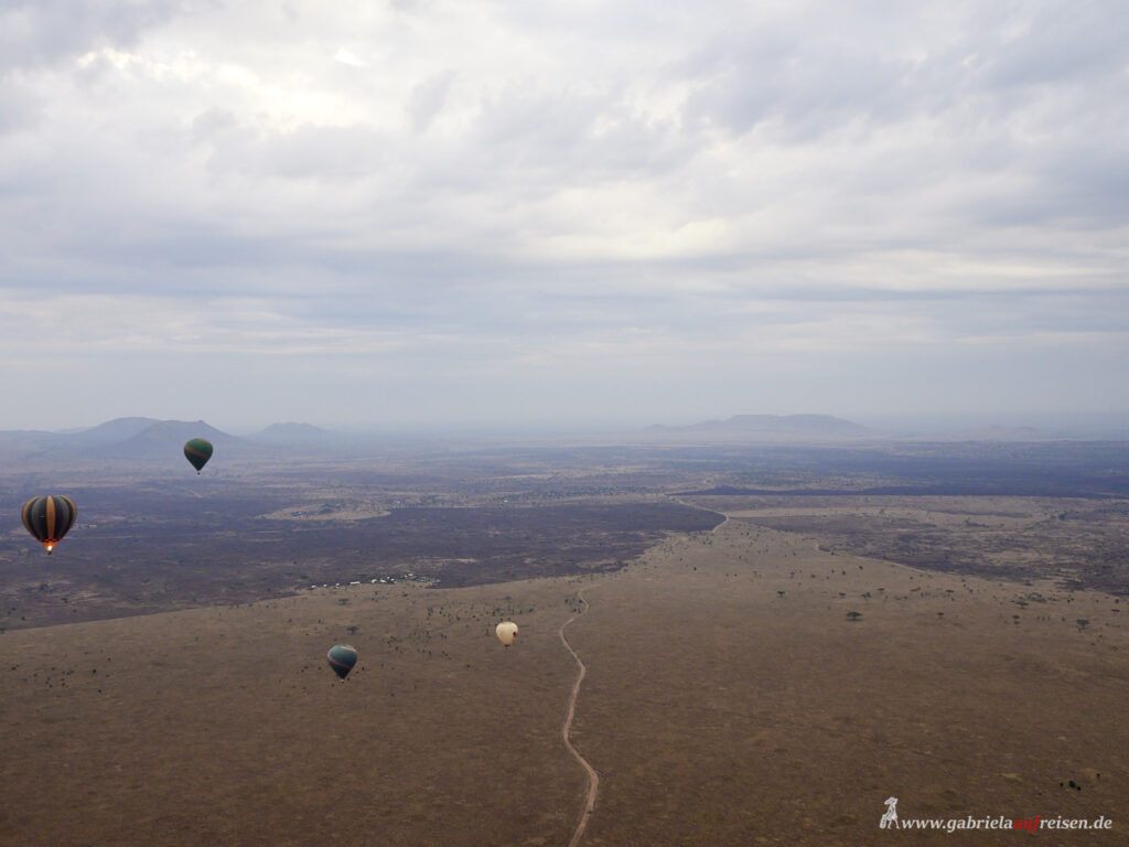 Serengeti-vom-Ballon-aus