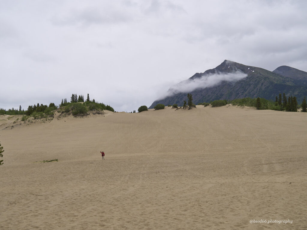 Duenen-im-Carcross-Desert