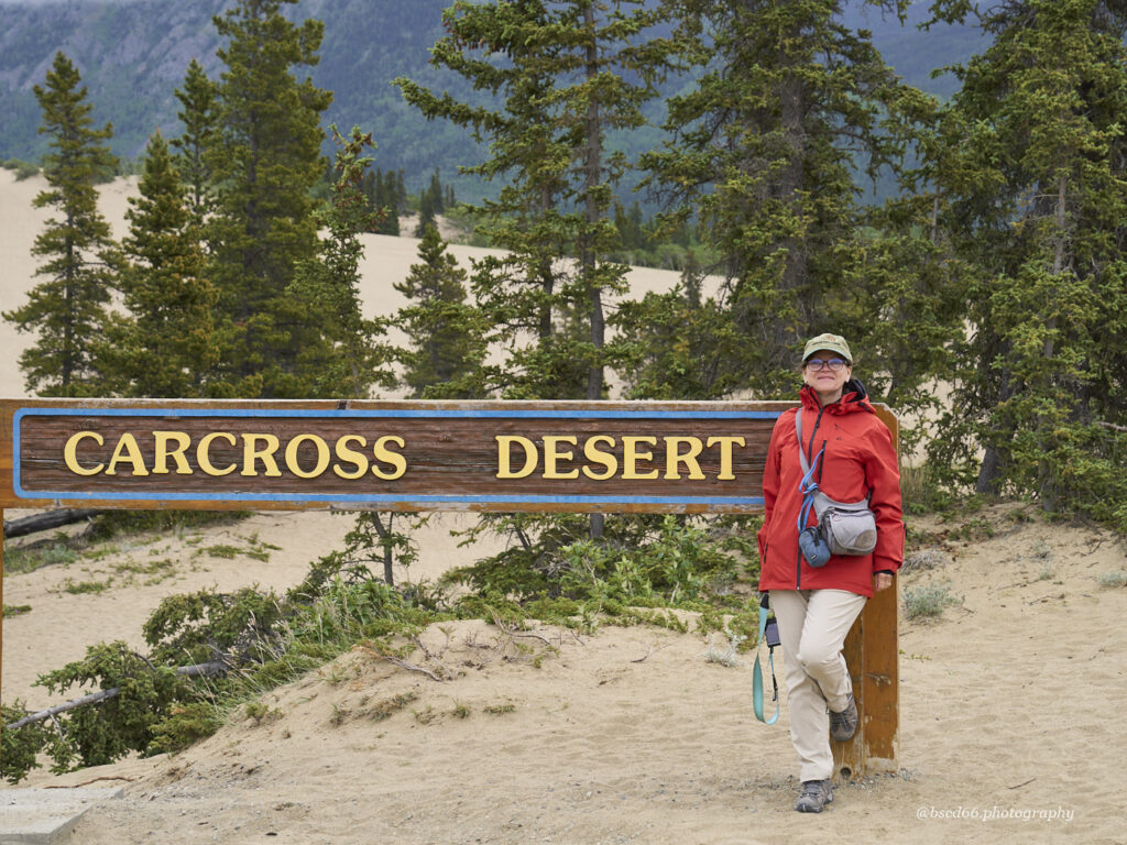 Eingang-Carcross-Desert