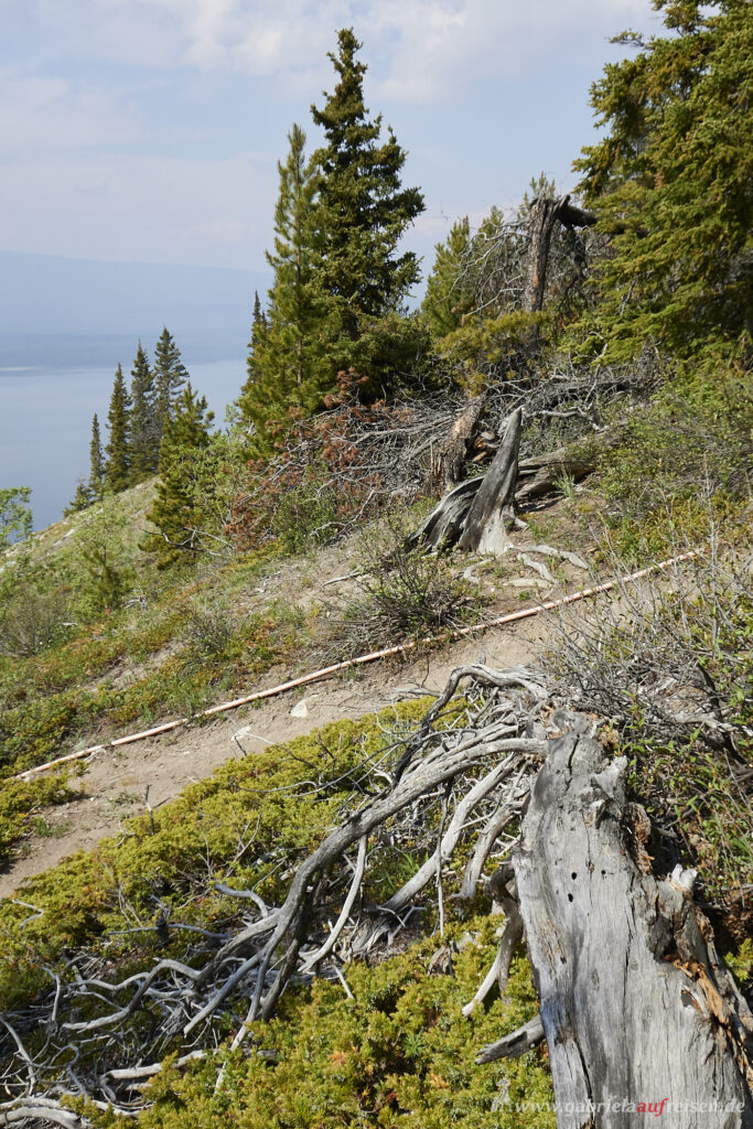 Bergpfad-im-Yukon