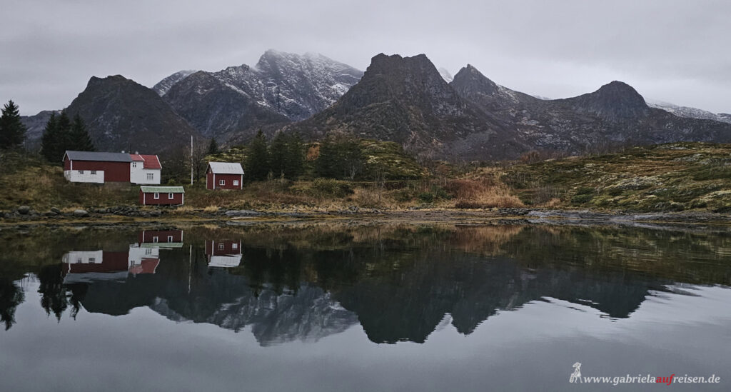 Spiegelung-im-Wasser