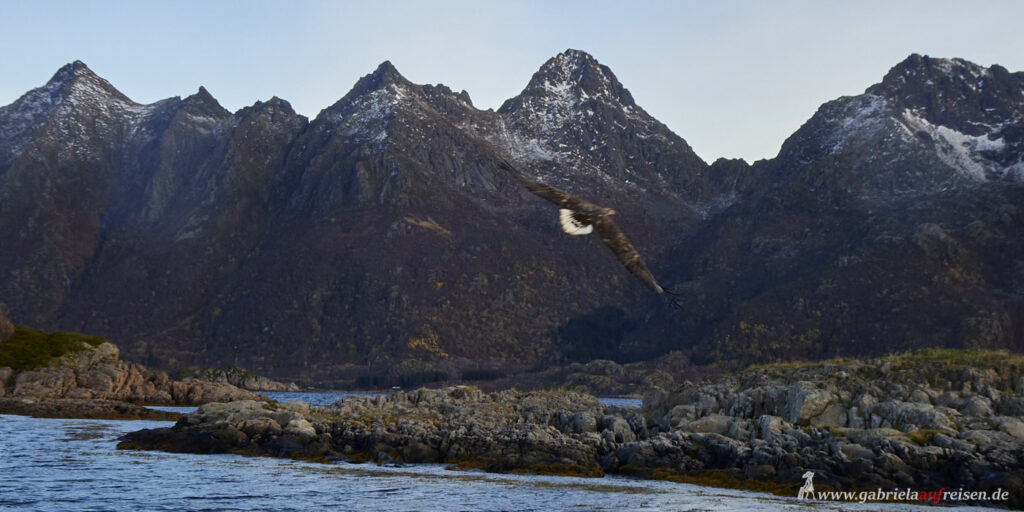 Lofoten-Landschaft