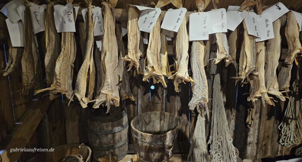 getrockneter-Fisch-auf-der Leine