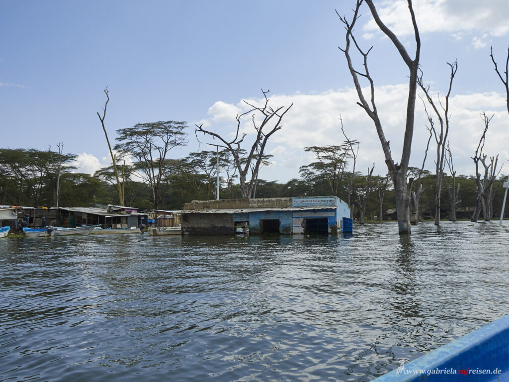 Kenia-Lake-Naivasha-ueberflutete-Haeuser