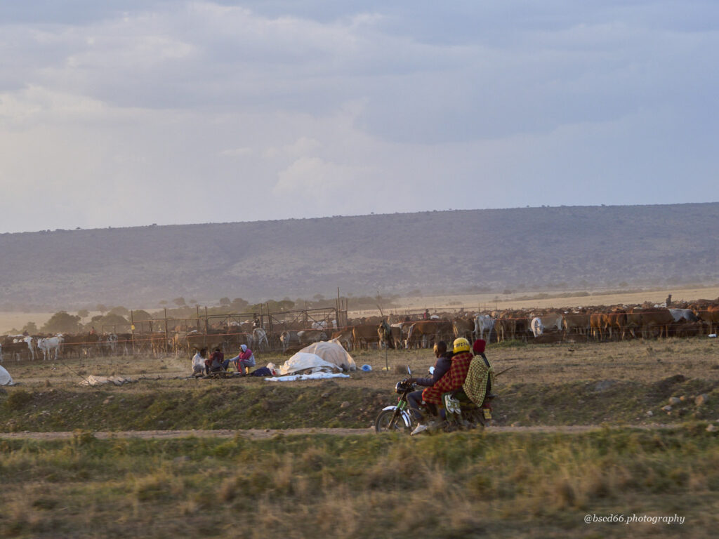 Kenia-North-Masai-Mara-Conversancy