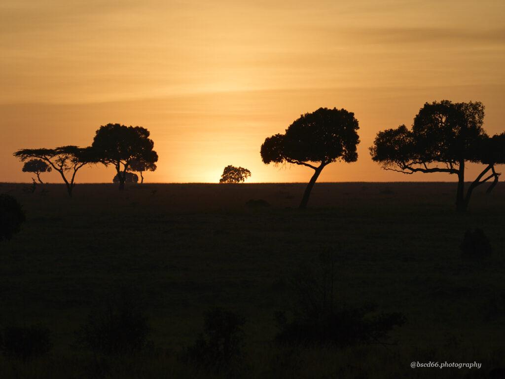 Sonnenaufgang-Kenia-Masai-Mara